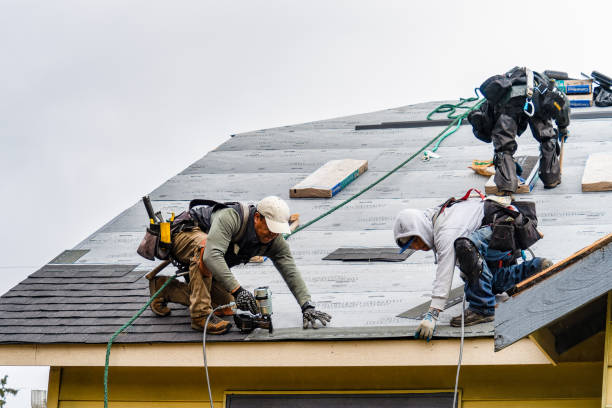 Professional Storm Damage Roof Repair technician working in Rensselaer, IN